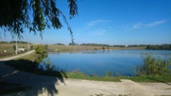 Навпроти ставу перша лінія. фото 4 Навпроти ставу перша лінія. фото 4