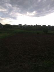 Продається ділянка Тернопільська, Тернопіль, Кутківці, 1львівські дачі фото 3 Продається ділянка Тернопільська, Тернопіль, Кутківці, 1львівські дачі фото 3