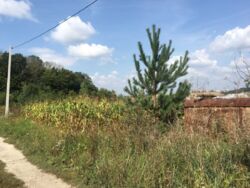 Продається ділянка Тернопільська, Тернопільський, Петриків фото 10 Продається ділянка Тернопільська, Тернопільський, Петриків фото 10