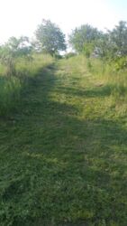 Продається ділянка Тернопільська, Тернопільський, Івачів Горішній фото 11 Продається ділянка Тернопільська, Тернопільський, Івачів Горішній фото 11