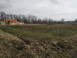 Продається ділянка Тернопільська, Збаразький, Лиски фото 1 Продається ділянка Тернопільська, Збаразький, Лиски фото 1