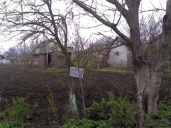 Продається ділянка Тернопільська, Тернопільський, Підгороднє, Діброва фото 2 Продається ділянка Тернопільська, Тернопільський, Підгороднє, Діброва фото 2