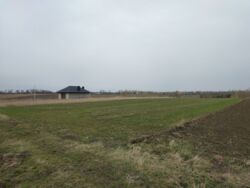 Продається ділянка Тернопільська, Тернопільський, Романівка фото 5 Продається ділянка Тернопільська, Тернопільський, Романівка фото 5