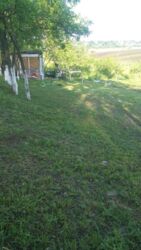 Продається ділянка Тернопільська, Тернопільський, Івачів Горішній фото 10 Продається ділянка Тернопільська, Тернопільський, Івачів Горішній фото 10