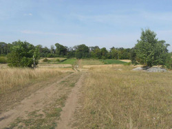 Продається ділянка Незалежності, Лиски, Збаразький, Тернопільська фото 5 Продається ділянка Незалежності, Лиски, Збаразький, Тернопільська фото 5