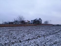 Продається ділянка Тернопільська, Тернопільський, Романівка фото 4 Продається ділянка Тернопільська, Тернопільський, Романівка фото 4