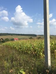 Продається ділянка Тернопільська, Тернопільський, Петриків фото 7 Продається ділянка Тернопільська, Тернопільський, Петриків фото 7