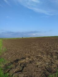 Продається ділянка Тернопільська, Тернопільський, Байківці фото 4 Продається ділянка Тернопільська, Тернопільський, Байківці фото 4