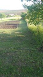 Продається ділянка Тернопільська, Тернопільський, Івачів Горішній фото 9 Продається ділянка Тернопільська, Тернопільський, Івачів Горішній фото 9