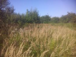 Продається ділянка Тернопільська, Тернопільський, Чернилів-Руський, Зелена №5 фото 3 Продається ділянка Тернопільська, Тернопільський, Чернилів-Руський, Зелена №5 фото 3