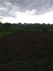 Продається ділянка Тернопільська, Тернопіль, Кутківці, 1львівські дачі фото 4 Продається ділянка Тернопільська, Тернопіль, Кутківці, 1львівські дачі фото 4