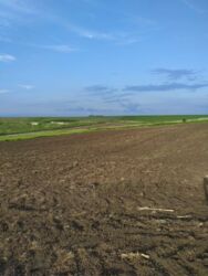 Продається ділянка Тернопільська, Тернопільський, Байківці фото 2 Продається ділянка Тернопільська, Тернопільський, Байківці фото 2