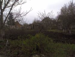 Продається ділянка Тернопільська, Тернопільський, Підгороднє, Діброва фото 5 Продається ділянка Тернопільська, Тернопільський, Підгороднє, Діброва фото 5