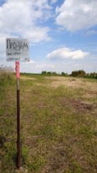 Продається ділянка Тернопільська, Тернопільський, Біла фото 7 Продається ділянка Тернопільська, Тернопільський, Біла фото 7