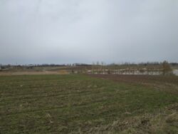 Продається ділянка Тернопільська, Тернопільський, Романівка фото 2 Продається ділянка Тернопільська, Тернопільський, Романівка фото 2