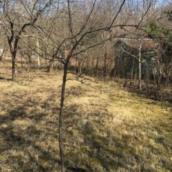 Продається ділянка Тернопільська, Тернопільський, Прошова фото 7 Продається ділянка Тернопільська, Тернопільський, Прошова фото 7