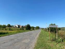 Продається ділянка Тернопільська, Тернопільський, Курники, Грушевського фото 2 Продається ділянка Тернопільська, Тернопільський, Курники, Грушевського фото 2