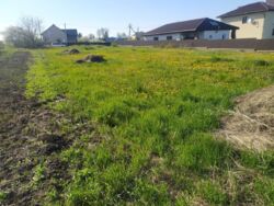 Продається ділянка Тернопільська, Тернопільський, Великі Гаї фото 2 Продається ділянка Тернопільська, Тернопільський, Великі Гаї фото 2