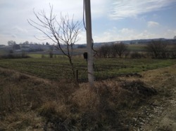 Продається ділянка Тернопільська, Збаразький, Лиски фото 2 Продається ділянка Тернопільська, Збаразький, Лиски фото 2