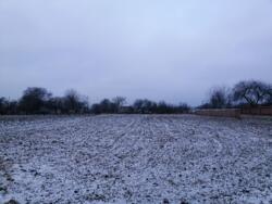 Продається ділянка Тернопільська, Тернопільський, Романівка фото 5 Продається ділянка Тернопільська, Тернопільський, Романівка фото 5