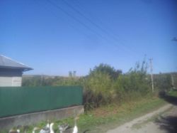 Продається ділянка Тернопільська, Тернопільський, Чернилів-Руський, Зелена №5 фото 2 Продається ділянка Тернопільська, Тернопільський, Чернилів-Руський, Зелена №5 фото 2