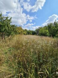 Продається ділянка Тернопільська, Тернопільський, Смиківці фото 1 Продається ділянка Тернопільська, Тернопільський, Смиківці фото 1