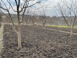 Продається ділянка Тернопільська, Тернопільський, Ступки фото 2 Продається ділянка Тернопільська, Тернопільський, Ступки фото 2