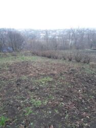 Продається ділянка Тернопільська, Тернопільський, Великий Глибочок фото 13 Продається ділянка Тернопільська, Тернопільський, Великий Глибочок фото 13