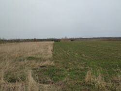 Продається ділянка Тернопільська, Тернопільський, Романівка фото 3 Продається ділянка Тернопільська, Тернопільський, Романівка фото 3