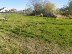 Продається ділянка Тернопільська, Тернопільський, Великі Гаї фото 5 Продається ділянка Тернопільська, Тернопільський, Великі Гаї фото 5