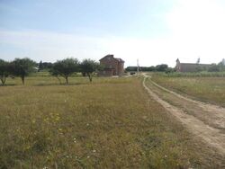 Продається ділянка Незалежності, Лиски, Збаразький, Тернопільська фото 4 Продається ділянка Незалежності, Лиски, Збаразький, Тернопільська фото 4