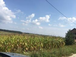 Продається ділянка Тернопільська, Тернопільський, Петриків фото 5 Продається ділянка Тернопільська, Тернопільський, Петриків фото 5