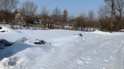 Продається ділянка Тернопільська, Тернопільський, Велика Березовиця фото 1 Продається ділянка Тернопільська, Тернопільський, Велика Березовиця фото 1