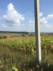 Продається ділянка Тернопільська, Тернопільський, Петриків фото 6 Продається ділянка Тернопільська, Тернопільський, Петриків фото 6