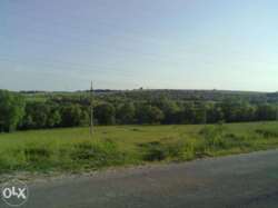 Продається ділянка Тернопільська, Тернопільський, Івачів Горішній фото 2 Продається ділянка Тернопільська, Тернопільський, Івачів Горішній фото 2