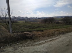 Продається ділянка Тернопільська, Збаразький, Лиски фото 5 Продається ділянка Тернопільська, Збаразький, Лиски фото 5