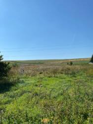 Продається ділянка Тернопільська, Тернопільський, Курники, Грушевського фото 14 Продається ділянка Тернопільська, Тернопільський, Курники, Грушевського фото 14