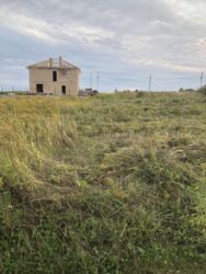 Продається ділянка Тернопільська, Тернопільський, Біла фото 3 Продається ділянка Тернопільська, Тернопільський, Біла фото 3