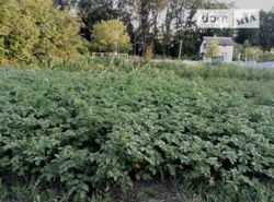 Продається ділянка Тернопільська, Тернопільський, Петриків, кооп.Троянда фото 1 Продається ділянка Тернопільська, Тернопільський, Петриків, кооп.Троянда фото 1