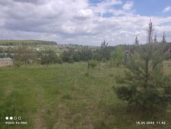 Продається ділянка Тернопільська, Тернопільський, Івачів Горішній фото 5 Продається ділянка Тернопільська, Тернопільський, Івачів Горішній фото 5