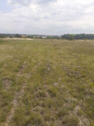 Продається ділянка Тернопільська, Тернопільський, Великі Бірки, Вишнева фото 3 Продається ділянка Тернопільська, Тернопільський, Великі Бірки, Вишнева фото 3