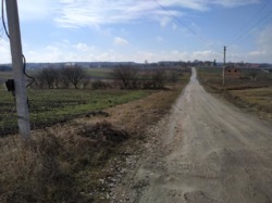 Продається ділянка Тернопільська, Збаразький, Лиски фото 4 Продається ділянка Тернопільська, Збаразький, Лиски фото 4