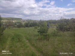 Продається ділянка Тернопільська, Тернопільський, Івачів Горішній фото 6 Продається ділянка Тернопільська, Тернопільський, Івачів Горішній фото 6