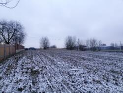 Продається ділянка Тернопільська, Тернопільський, Романівка фото 1 Продається ділянка Тернопільська, Тернопільський, Романівка фото 1