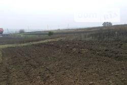 Продається ділянка Тернопільська, Тернопільський, Підгороднє фото 3 Продається ділянка Тернопільська, Тернопільський, Підгороднє фото 3