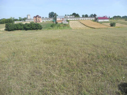 Продається ділянка Незалежності, Лиски, Збаразький, Тернопільська фото 1 Продається ділянка Незалежності, Лиски, Збаразький, Тернопільська фото 1