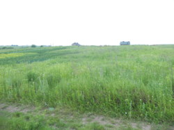 Продається ділянка Тернопільська, Тернопільський, Біла фото 3 Продається ділянка Тернопільська, Тернопільський, Біла фото 3