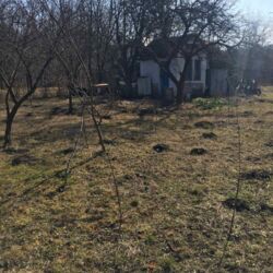 Продається ділянка Тернопільська, Тернопільський, Прошова фото 3 Продається ділянка Тернопільська, Тернопільський, Прошова фото 3