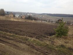 Продається ділянка Тернопільська, Тернопільський, Петриків фото 4 Продається ділянка Тернопільська, Тернопільський, Петриків фото 4