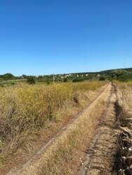 Продається ділянка Тернопільська, Тернопільський, Курники, Грушевського фото 12 Продається ділянка Тернопільська, Тернопільський, Курники, Грушевського фото 12